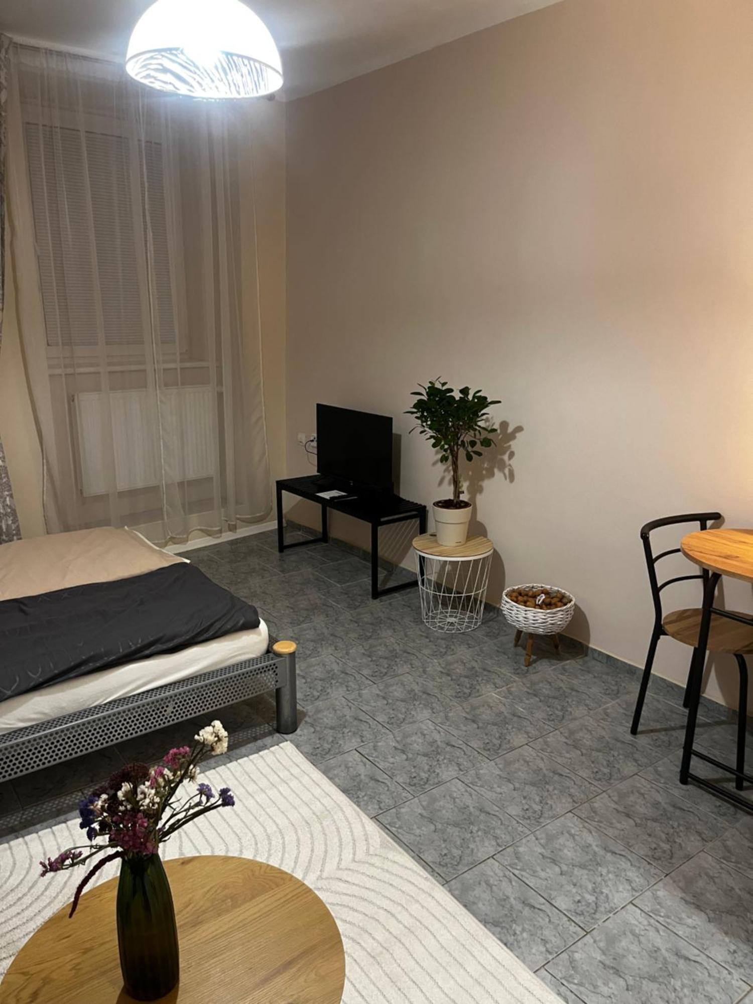 Apartment U Hradu